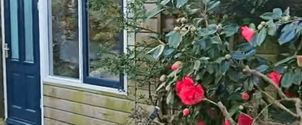 Studio huren in Zandvoort