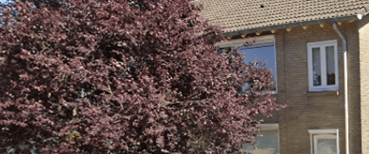 Huis huren in Epe