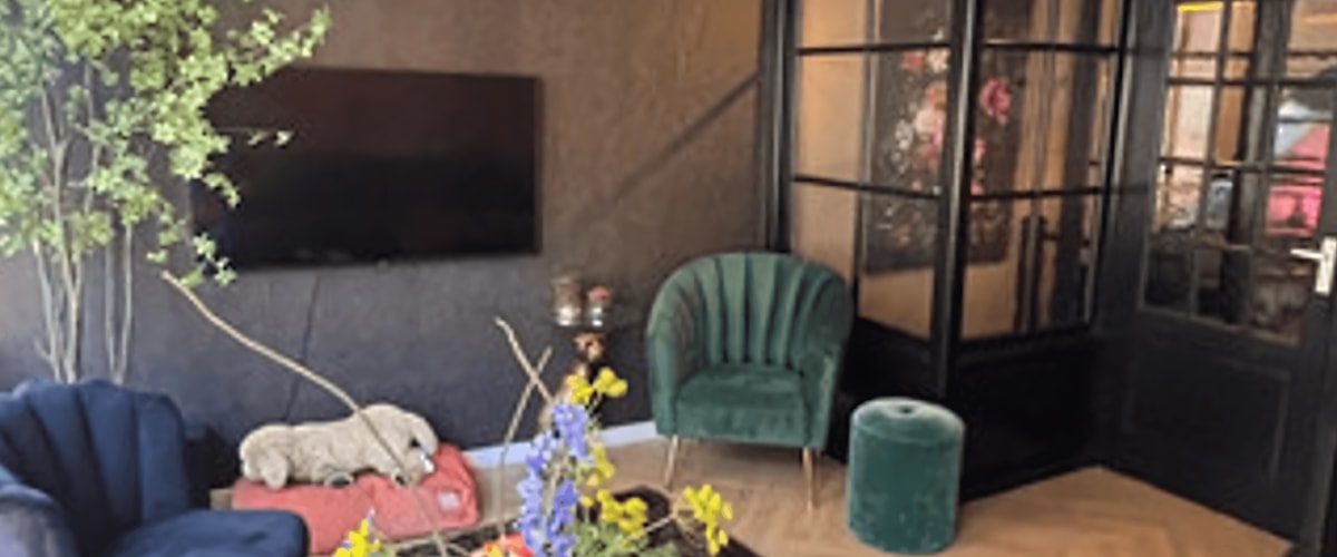 Appartement huren in Haarlem