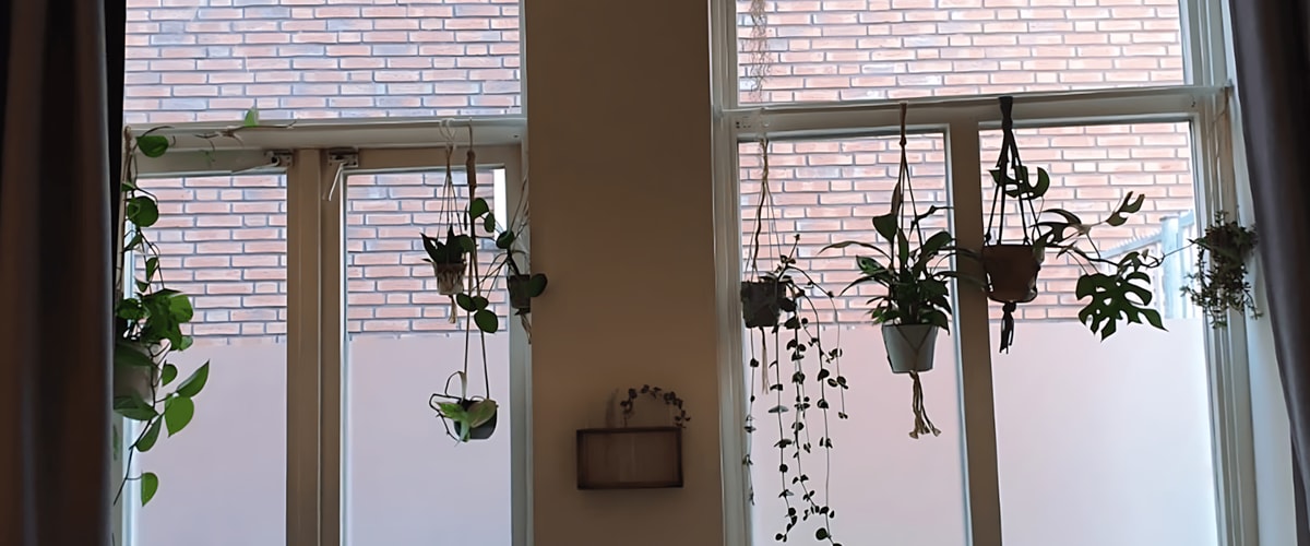 Kamer huren in Groningen