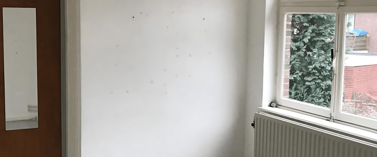 Kamer huren in Heerlen