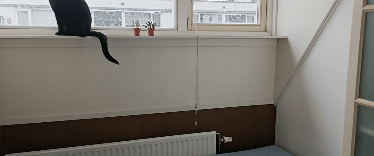 Kamer huren in Tilburg