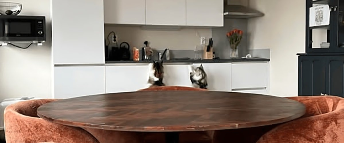 Appartement huren in Zwolle