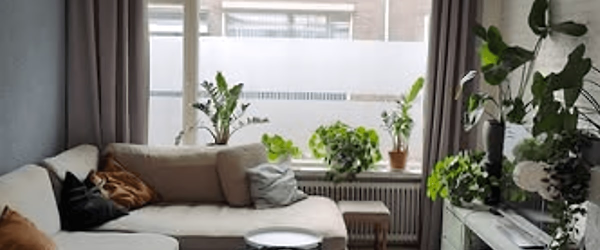 Kamer huren in Eindhoven