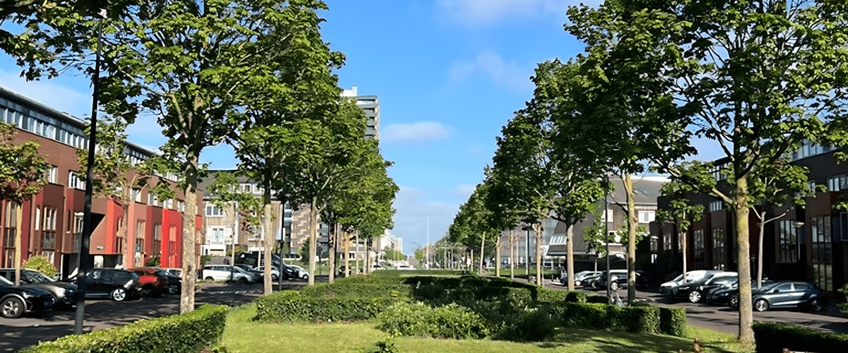 Huis huren in Amsterdam
