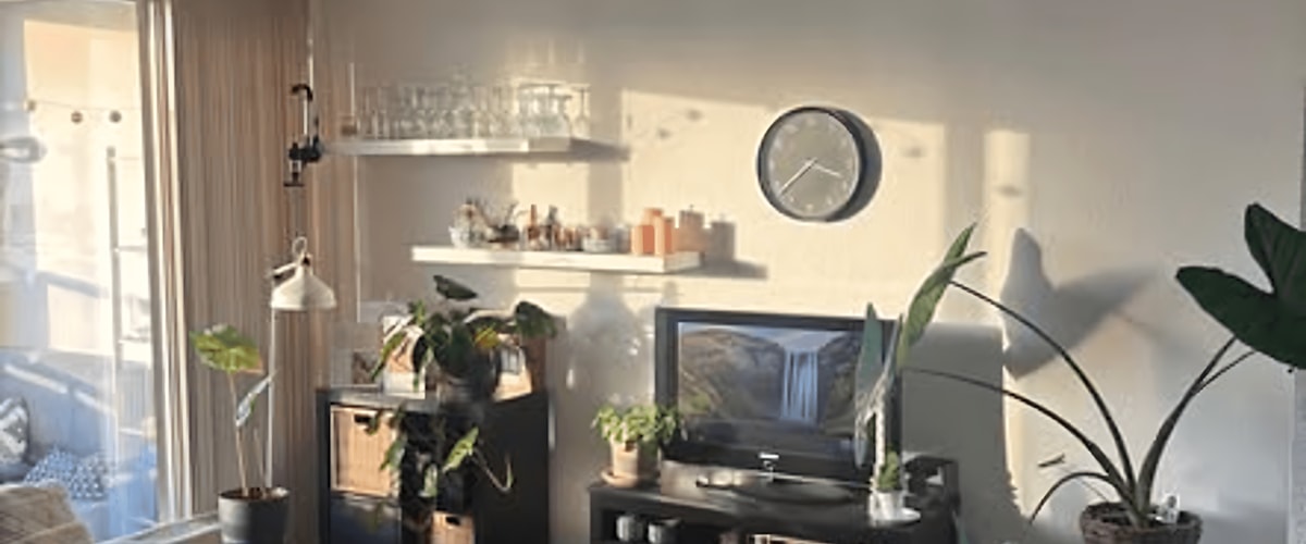 Kamer huren in Amsterdam