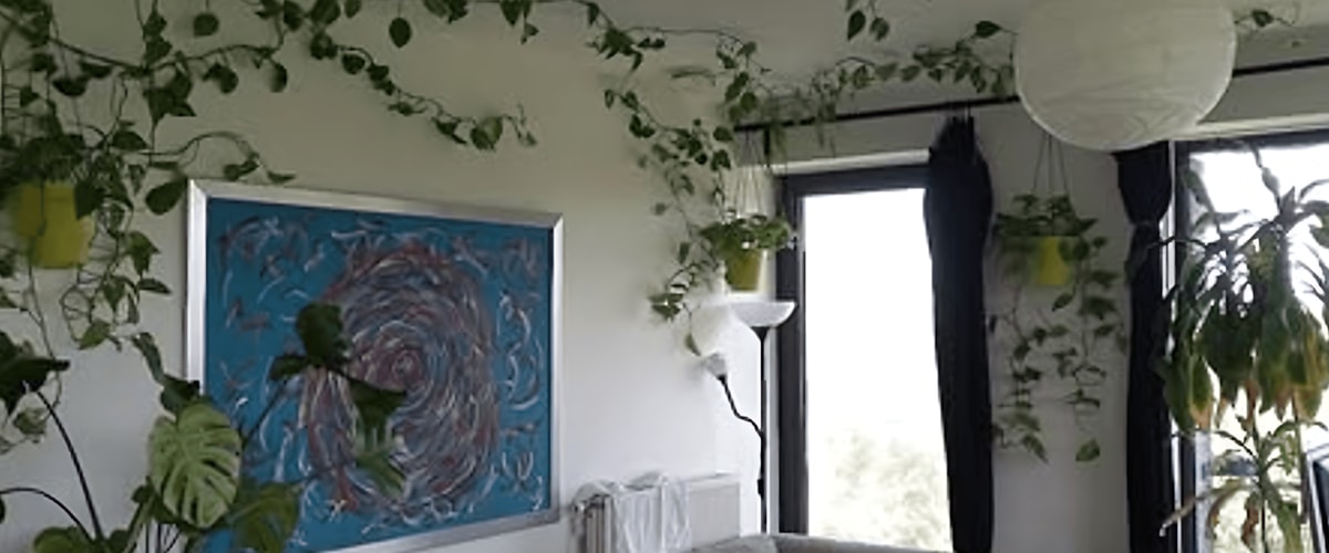 Kamer huren in Amsterdam