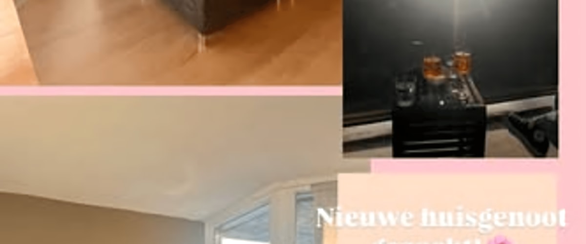 Kamer huren in Breda