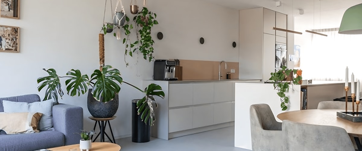 Huis huren in Den Haag