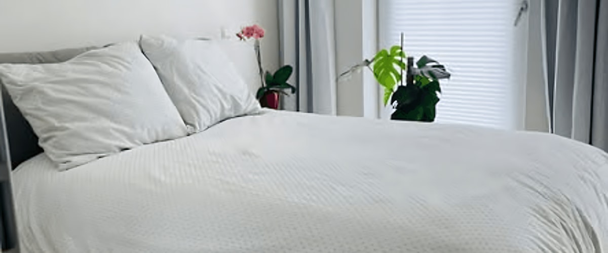 Kamer huren in Amsterdam