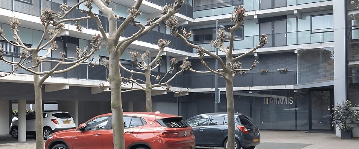 Appartement huren in Eindhoven