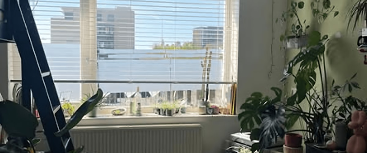 Kamer huren in Eindhoven