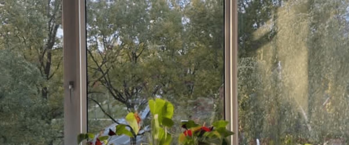 Kamer huren in Leiden