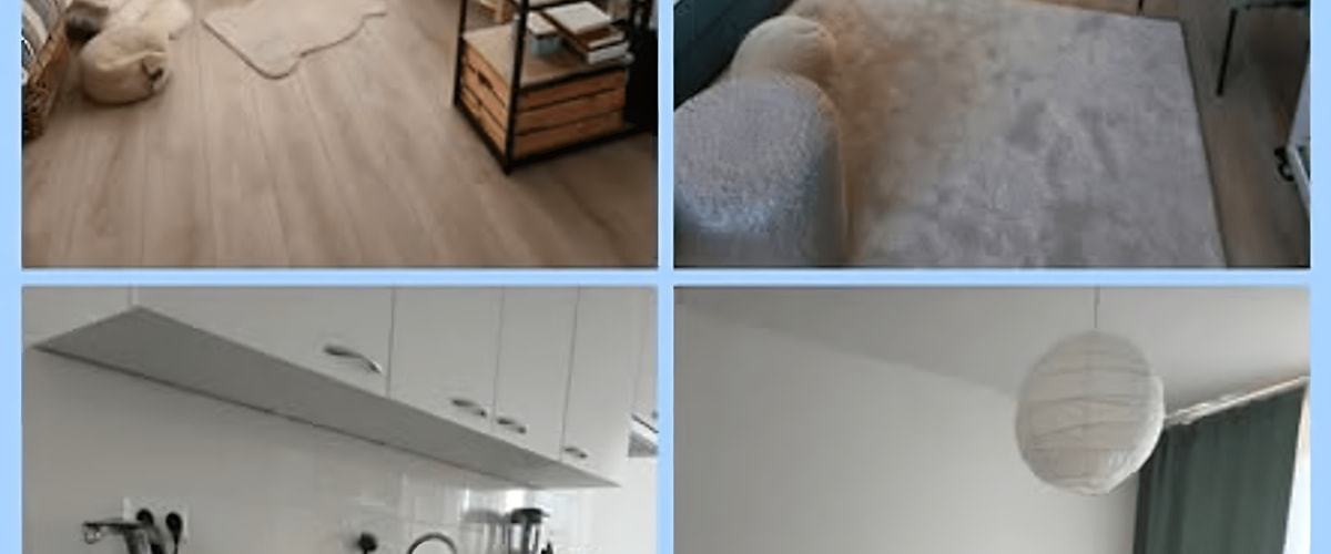 Appartement huren in Haarlem