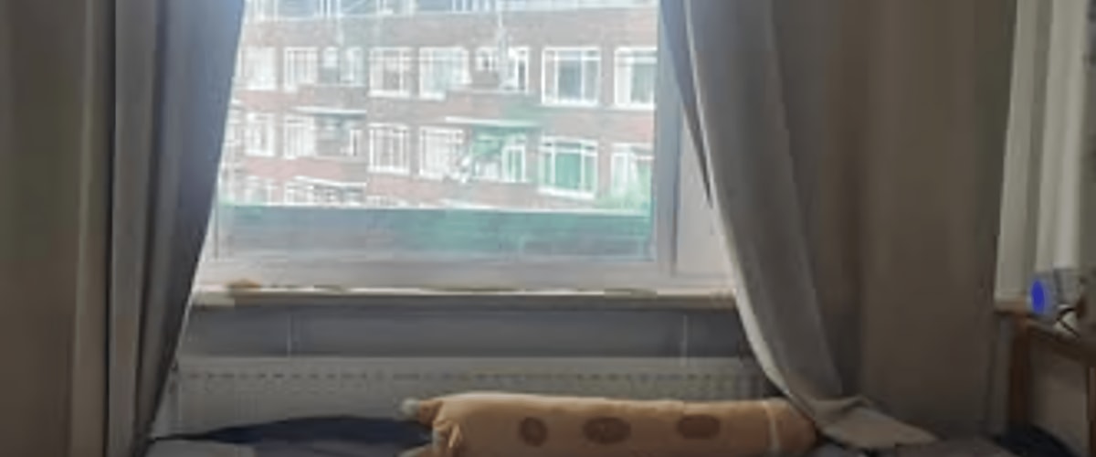 Kamer huren in Rotterdam