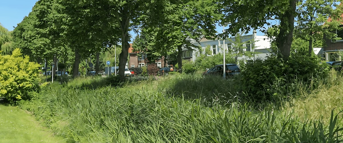 Huis huren in Leiden