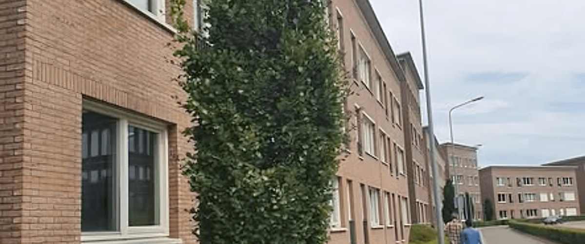 Kamer huren in Maastricht