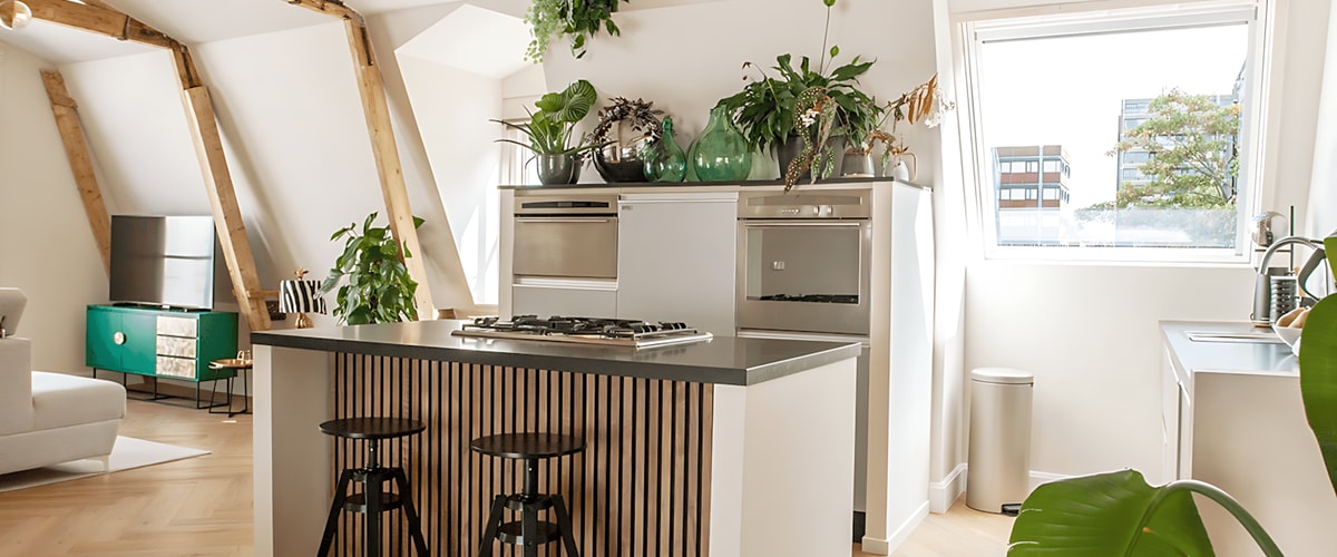 Appartement huren in Haarlem