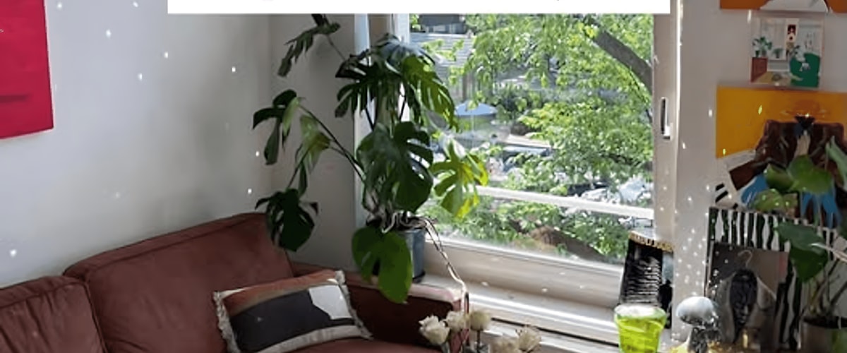 Kamer huren in Amsterdam