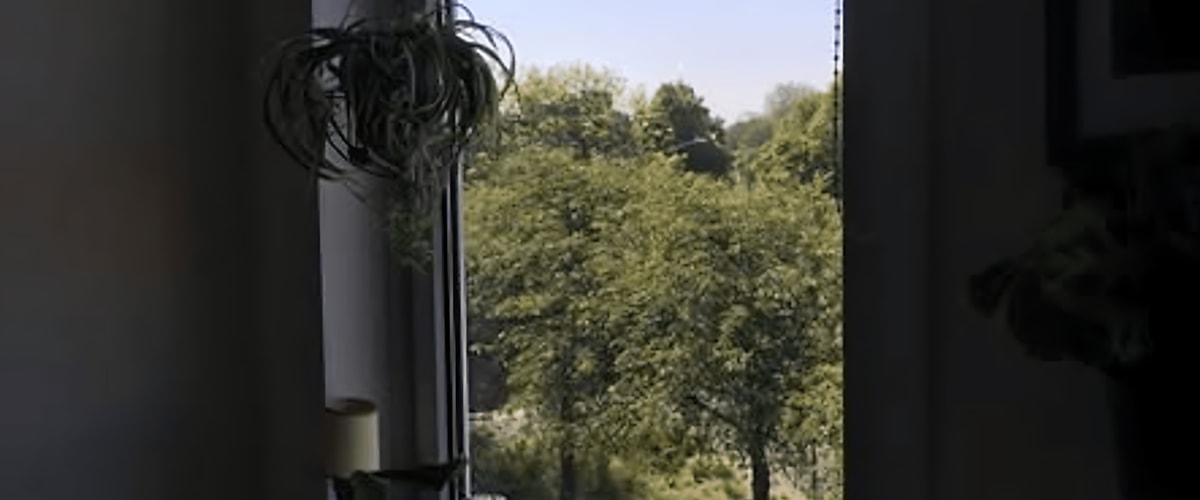 Kamer huren in Den Haag