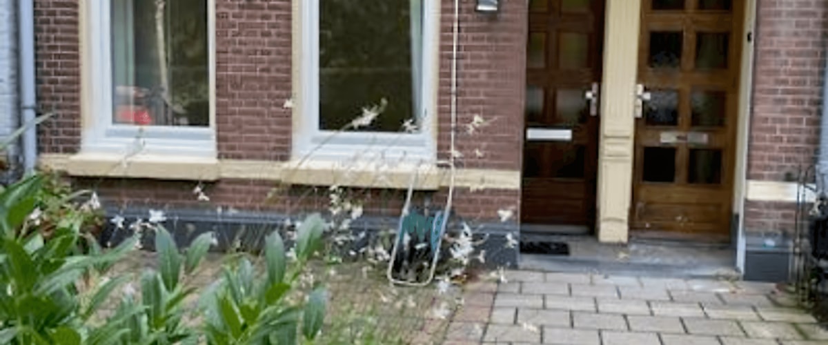 Appartement huren in Haarlem