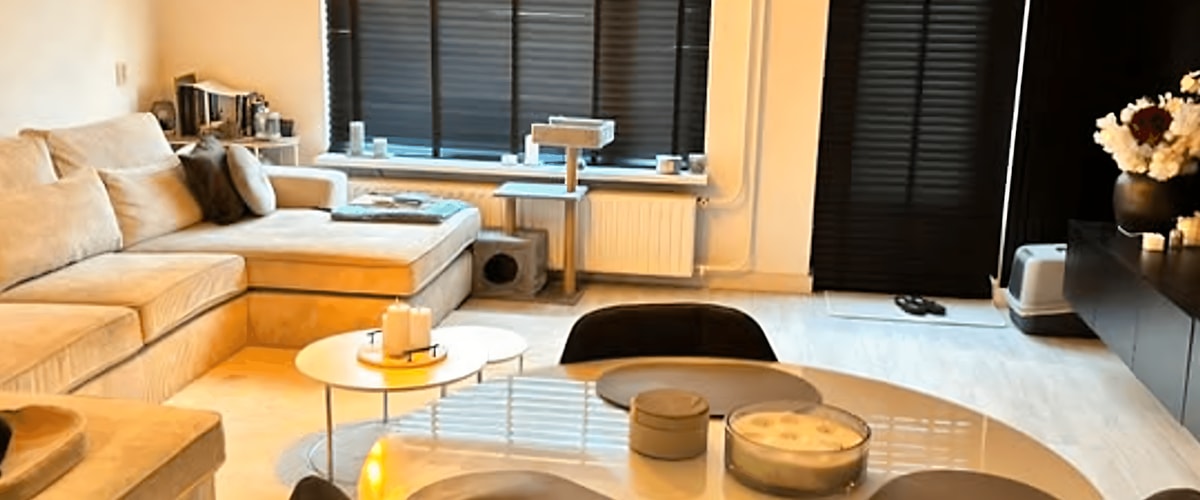 Huis huren in Rotterdam
