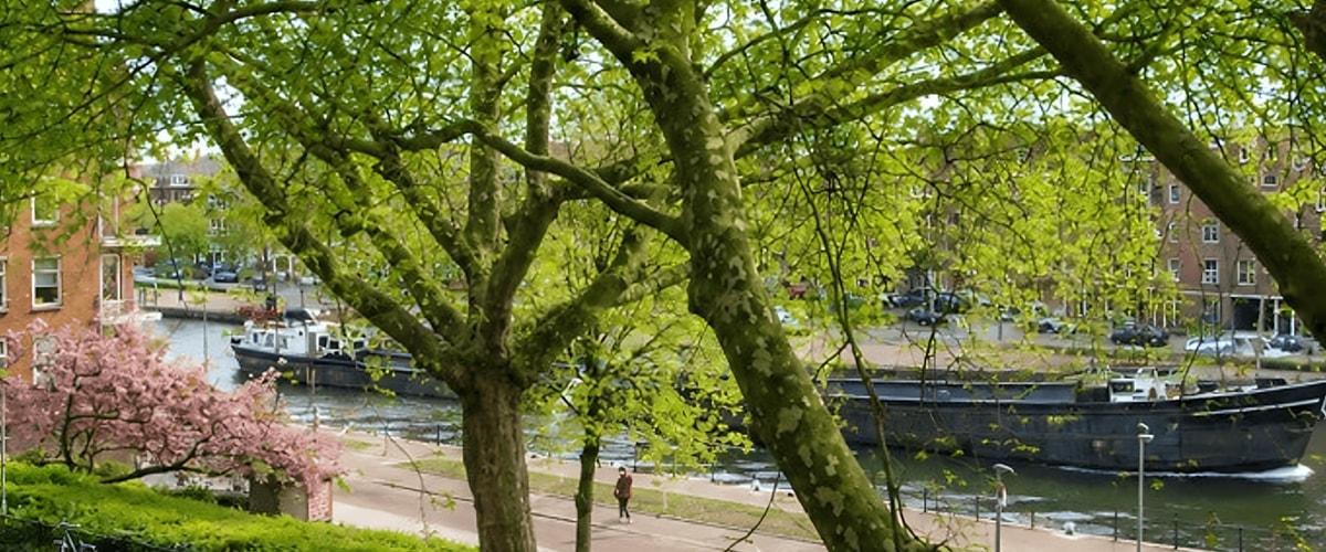 Appartement huren in Rotterdam