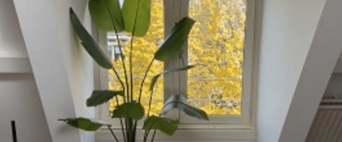 Studio huren in Utrecht