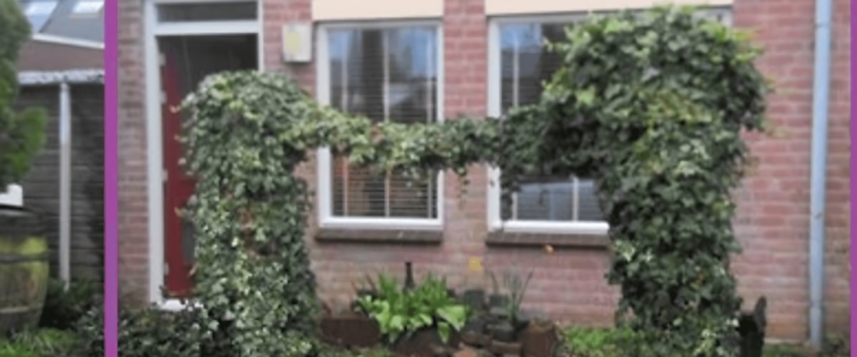 Huis huren in Oss