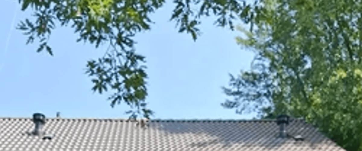 Huis huren in Bergen