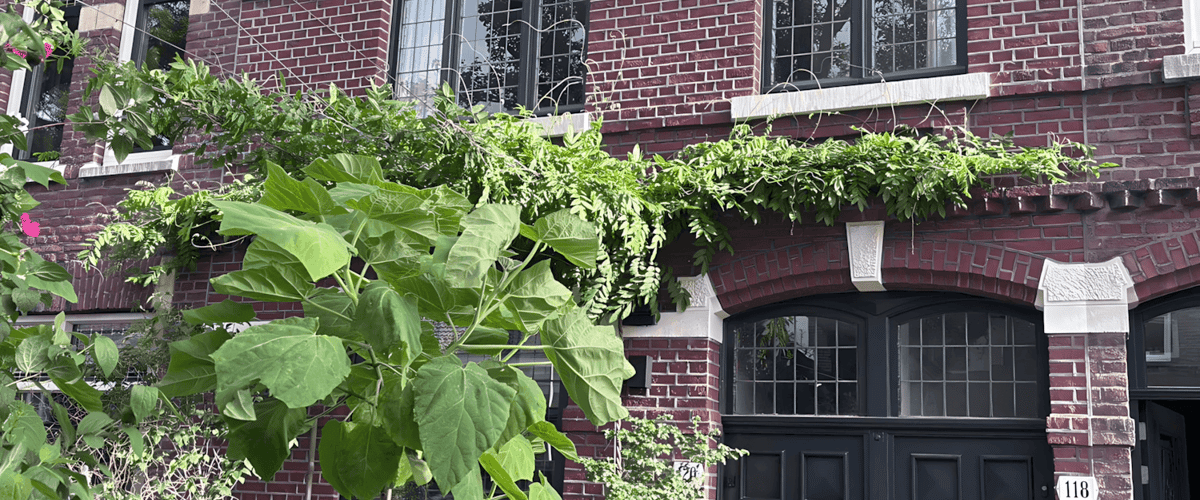 Appartement huren in Maastricht
