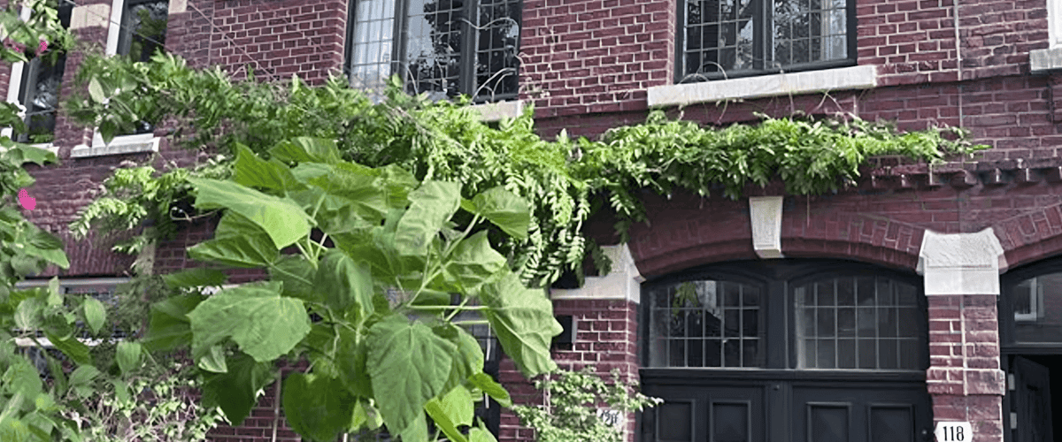 Appartement huren in Maastricht