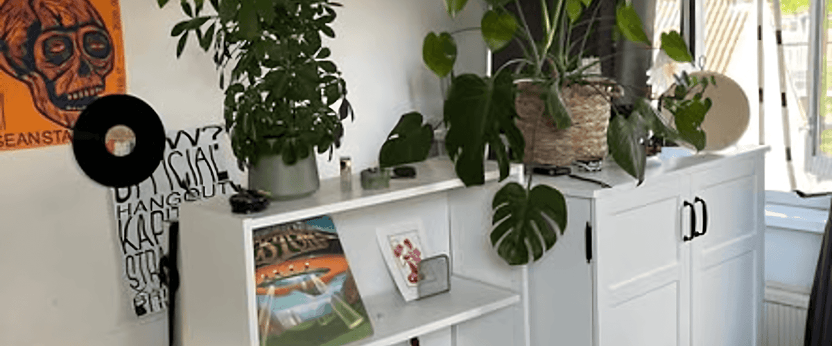 Kamer huren in Hilversum