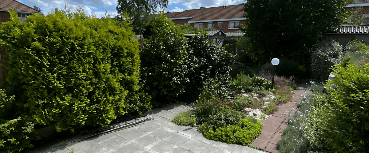 Huis huren in Rotterdam