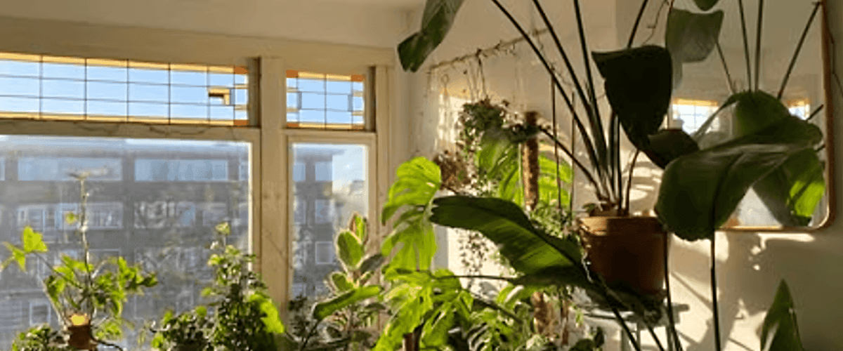 Kamer huren in Rotterdam