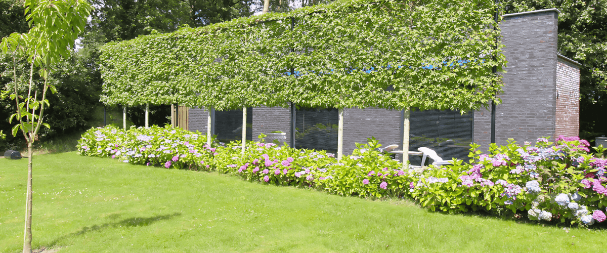 Appartement huren in Veldhoven