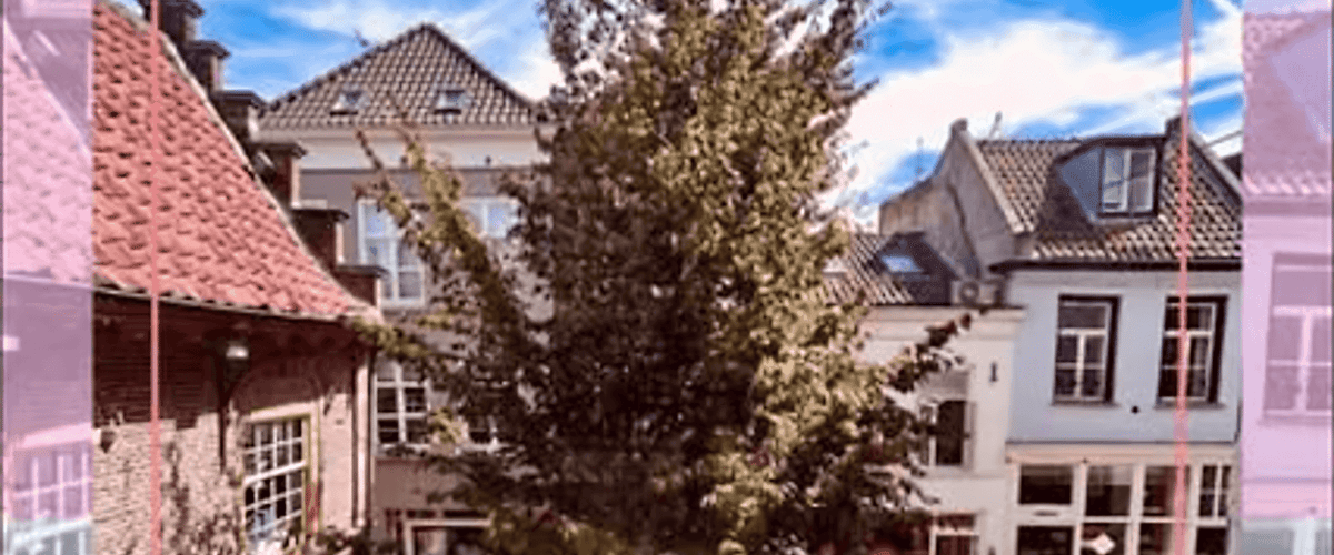 Kamer huren in Den Bosch