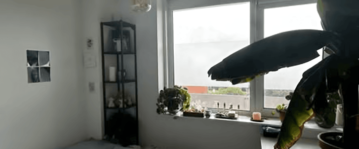 Kamer huren in Amsterdam