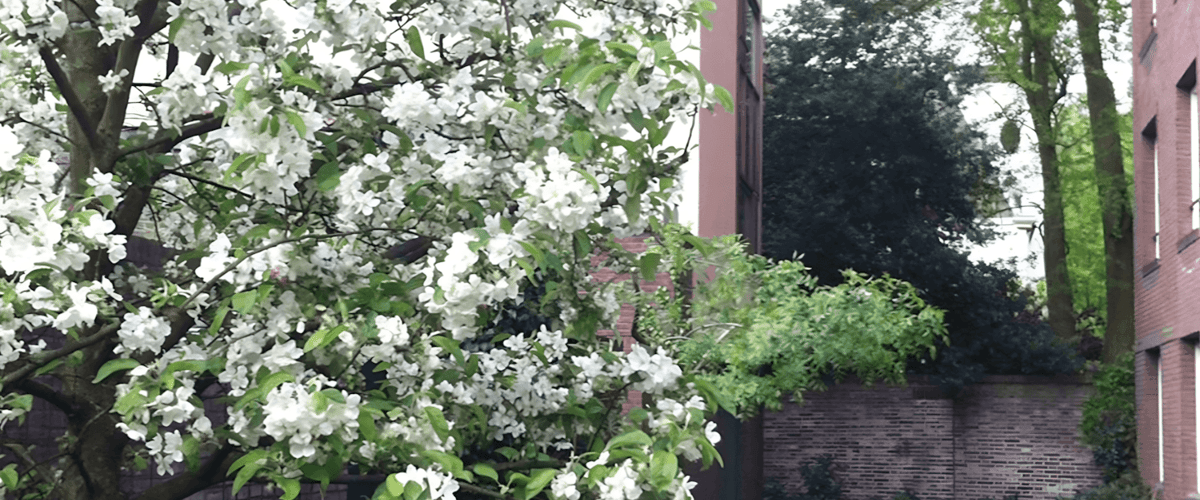 Studio huren in Utrecht
