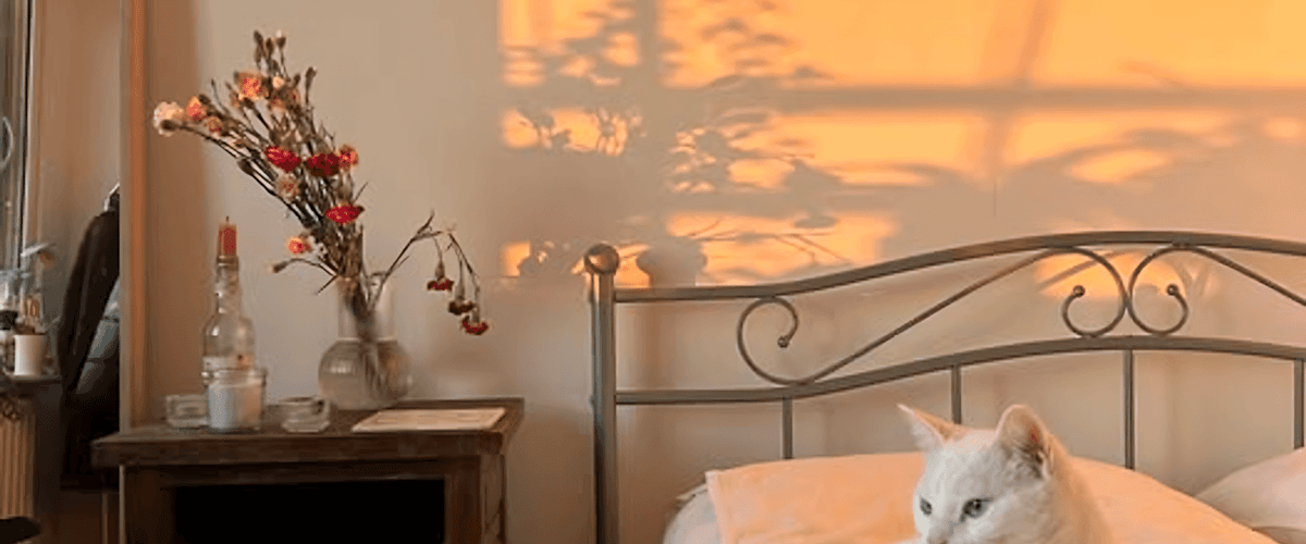 Kamer huren in Amsterdam