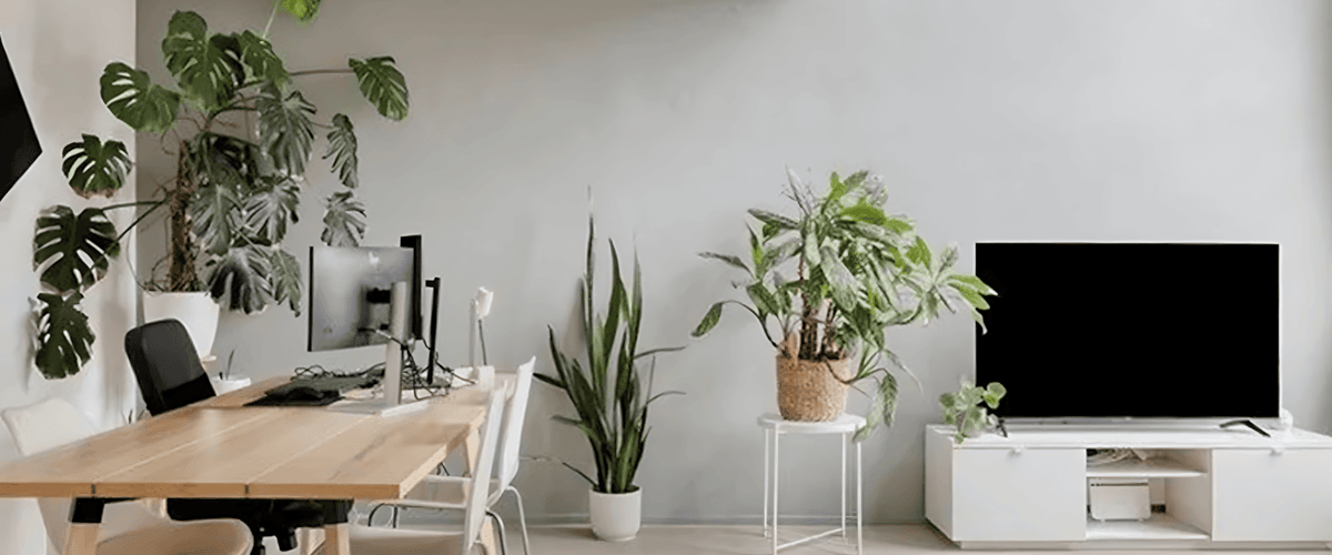 Appartement huren in Rotterdam