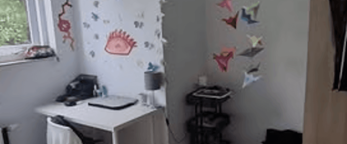 Kamer huren in Groningen