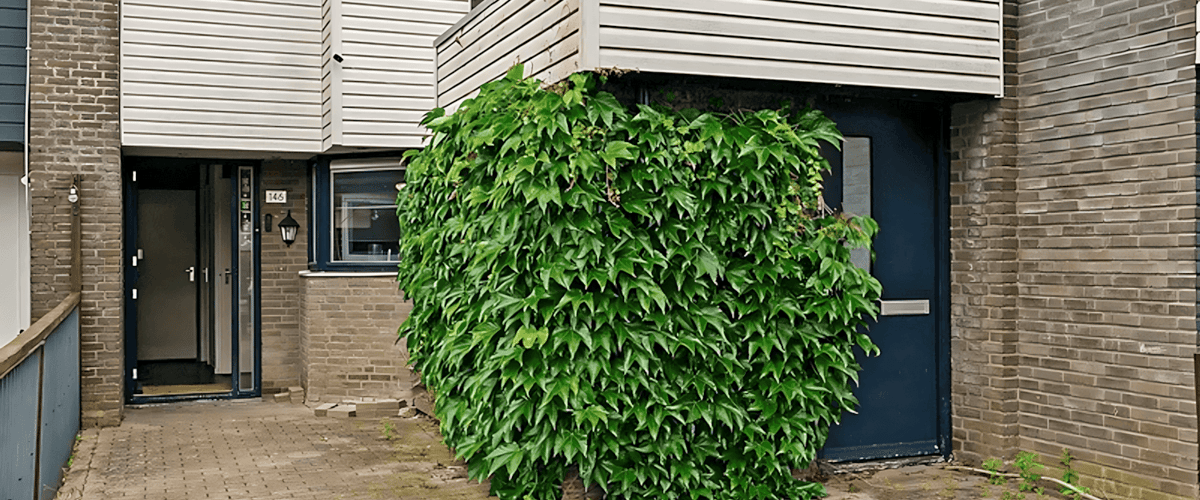 Huis huren in Emmeloord