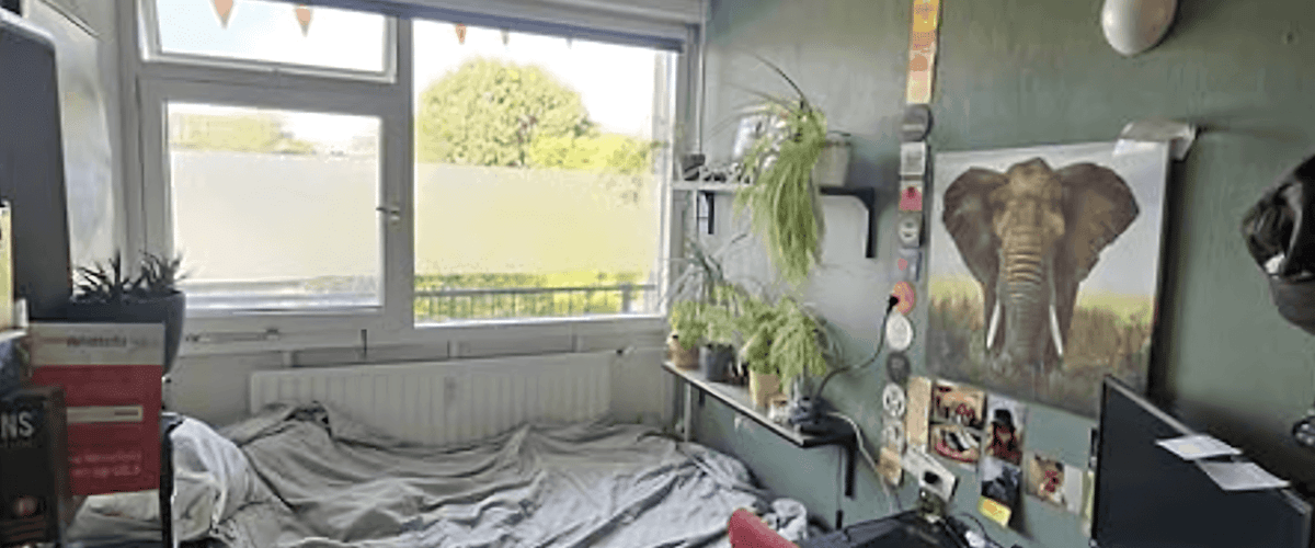 Kamer huren in Delft