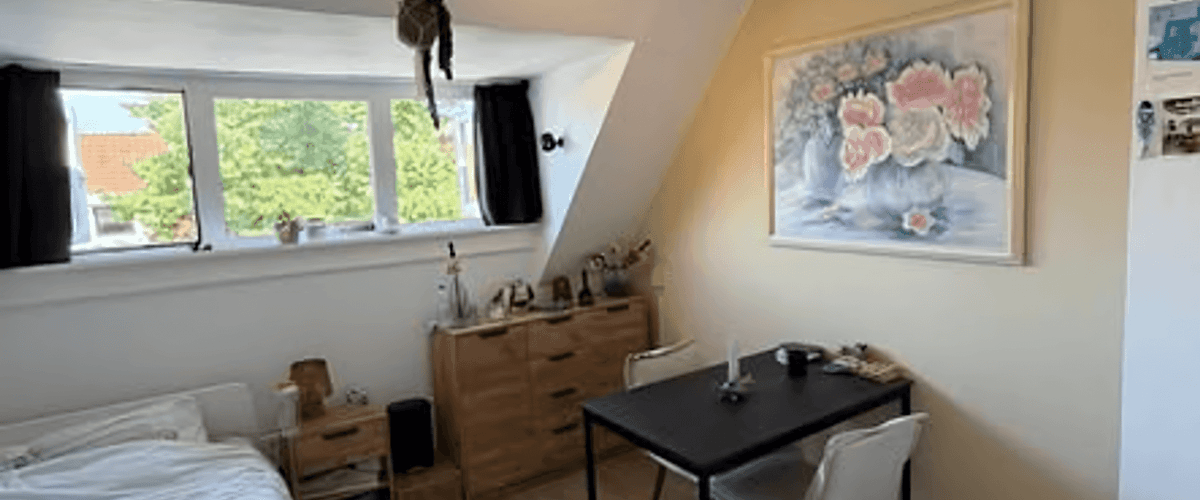Kamer huren in Den Bosch