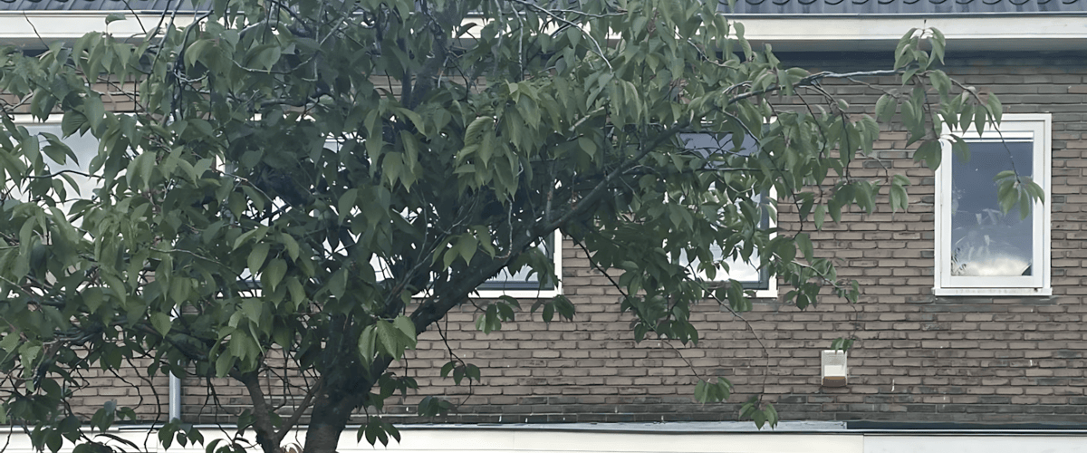 Huis huren in Utrecht