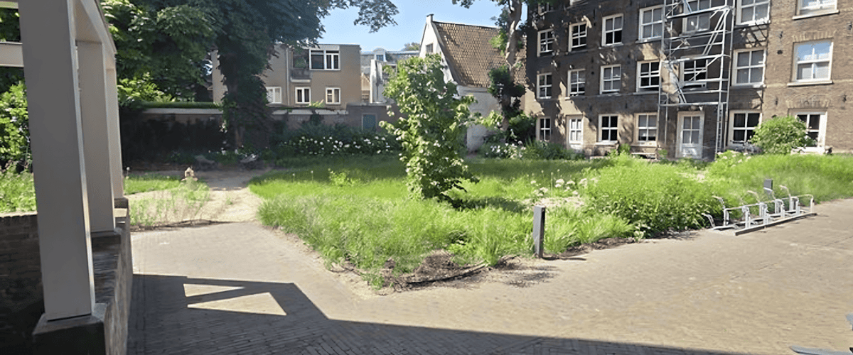 Appartement huren in Haarlem