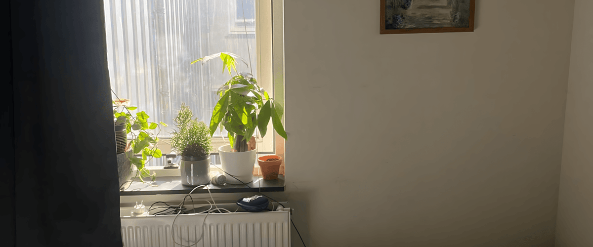 Kamer huren in Den haag