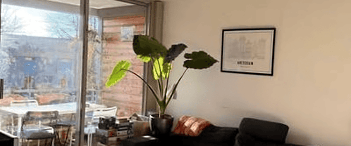 Kamer huren in Amsterdam