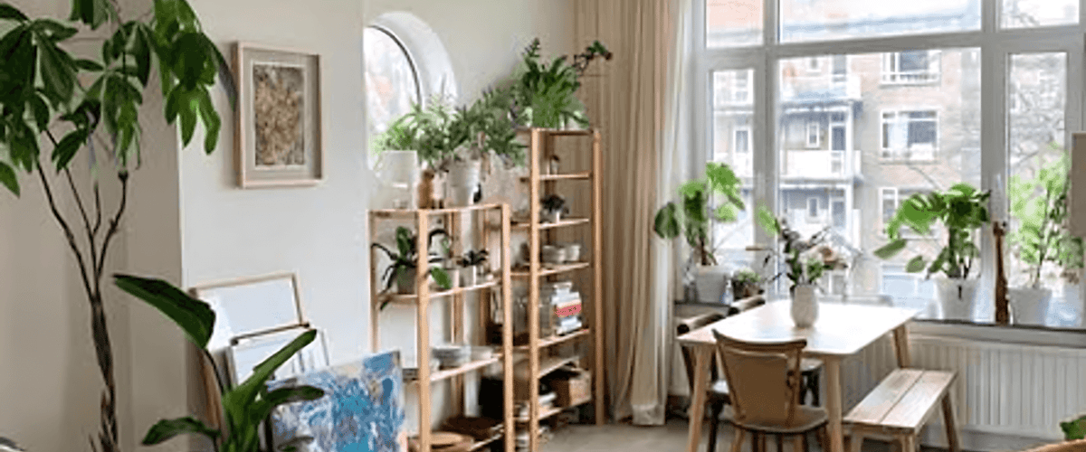 Kamer huren in Rotterdam